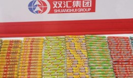 双汇太子最新爆料,家族企业内幕与未来展望